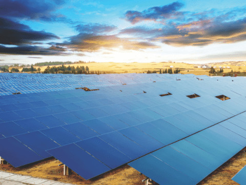 field of solar panels