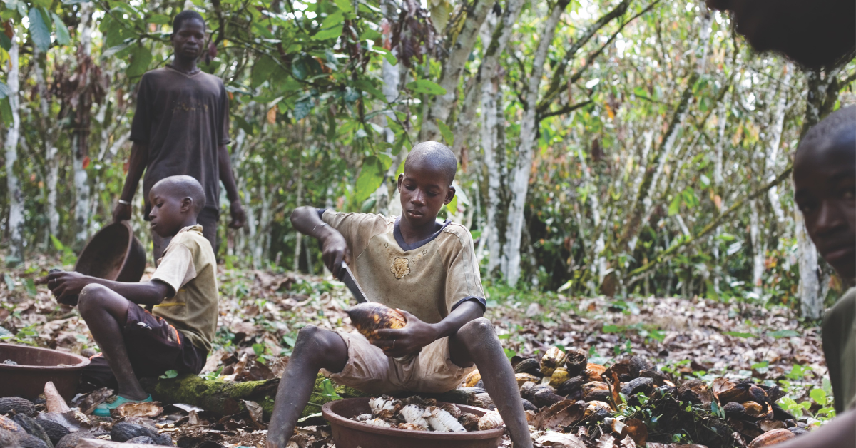Chocolate relies on child labour in Africa's Ivory Coast, a bitter