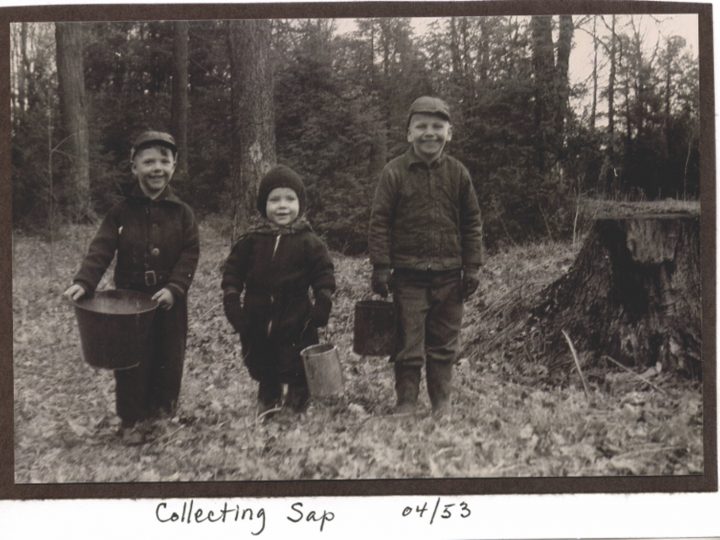 black and white shot of three children in woods
