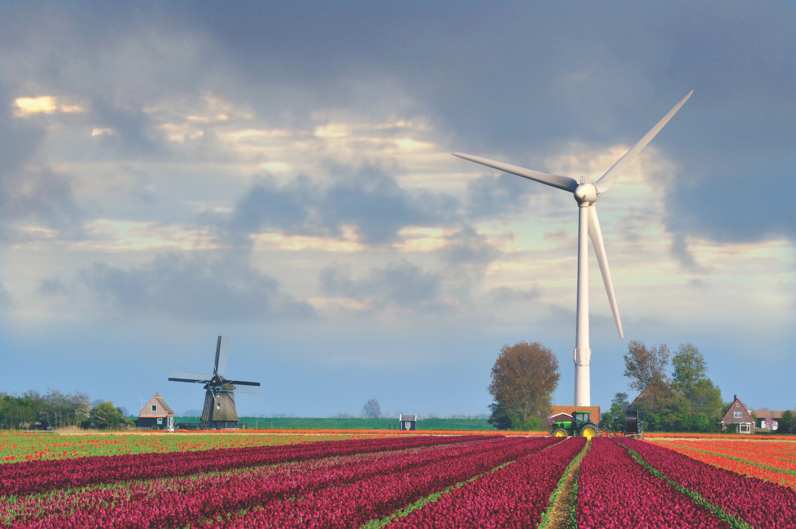 Wind turbine over fields of flowers