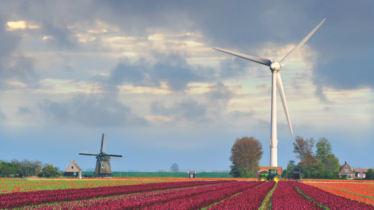 国民搾取の正体とは