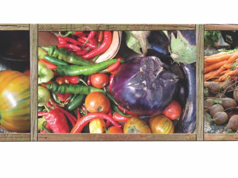 photos of luscious vegetables
