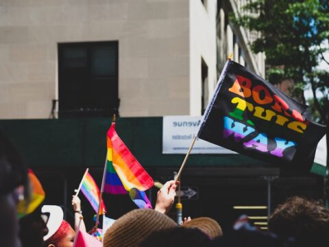 Rainbow pride flags head above crowd of heads. One black flag with "born this way" printed in rainbow pride colours.