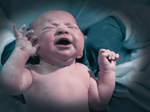 Newborn baby, white