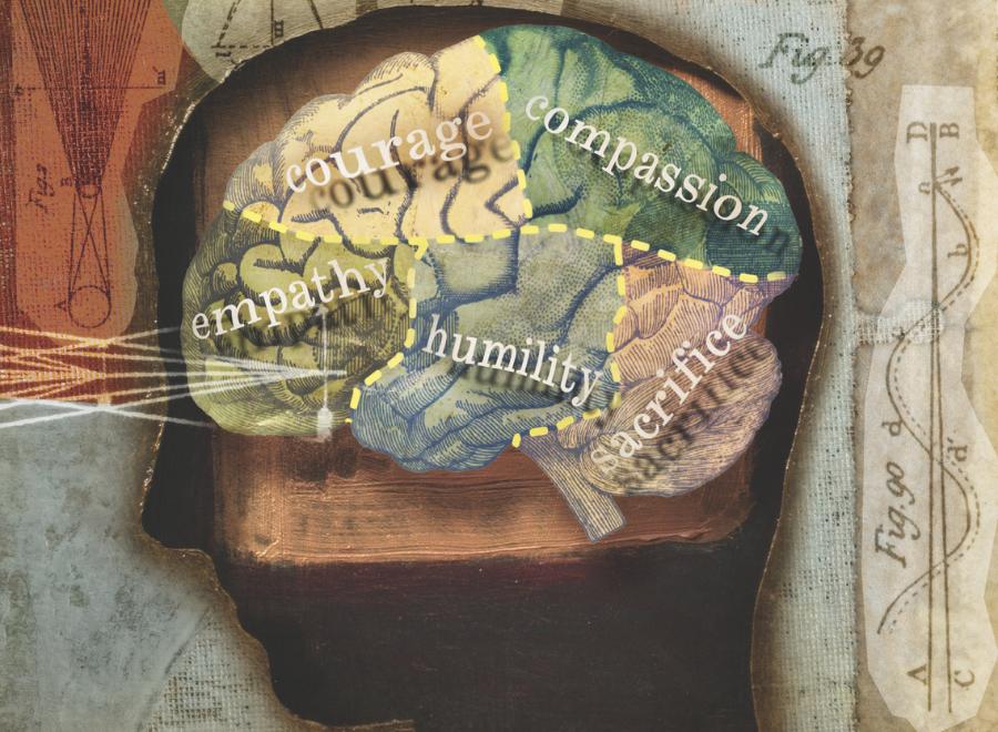 Illustration of human brain divided into emotional spaces