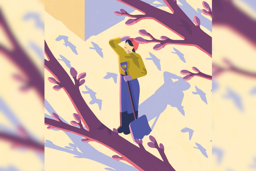 Illustration of woman staring up at the sky with snow shovel in her hand. She is wearing purple pants and mustard top. Shadow of birds are reflected on the ground.