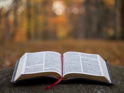 An image of an open book, with a red ribbon running down the middle The book is on a flat surface outdoors, with blurred trees and leaves in the background.