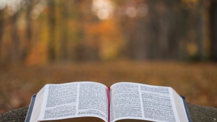 An image of an open book, with a red ribbon running down the middle The book is on a flat surface outdoors, with blurred trees and leaves in the background.