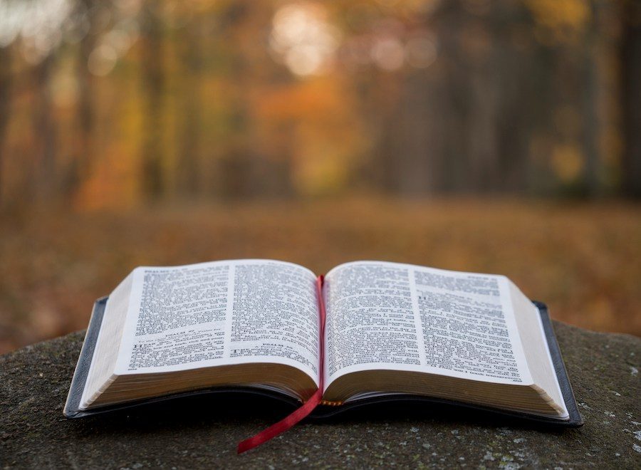An image of an open book, with a red ribbon running down the middle The book is on a flat surface outdoors, with blurred trees and leaves in the background.