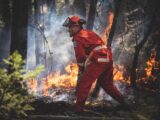 A firefighter wearing a helmet and dressed in an orange jumpsuit faces a blazing forest fire.