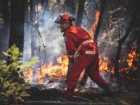 A firefighter wearing a helmet and dressed in an orange jumpsuit faces a blazing forest fire.