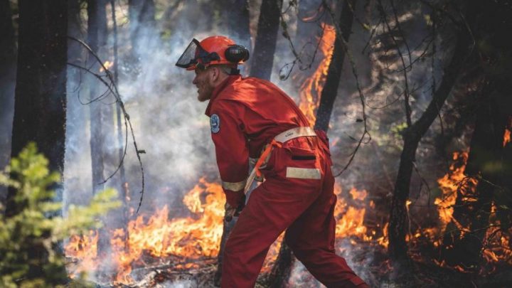 A firefighter wearing a helmet and dressed in an orange jumpsuit faces a blazing forest fire.
