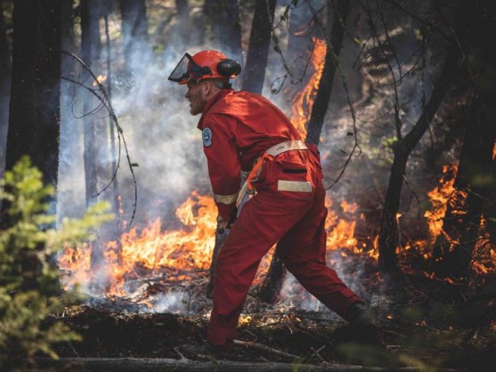 A firefighter wearing a helmet and dressed in an orange jumpsuit faces a blazing forest fire.