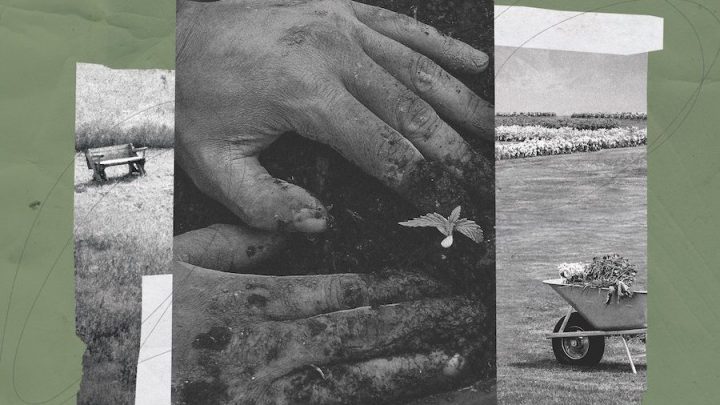 On top of a green background, there are three black and white pictures, layered on top of one another like a collage. The picture in the centre depicts two hands, pushing some soil together around a tiny plant. The image on the left contains grass and a park bench. The image on the right contains a wheelbarrow in a field.