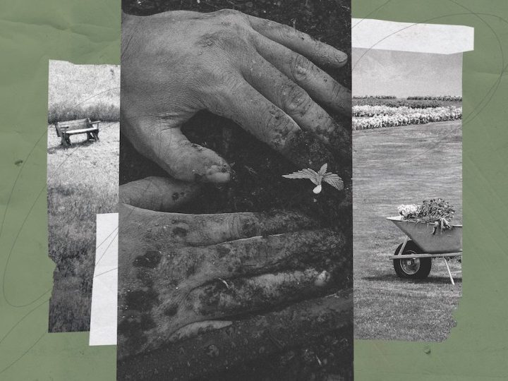On top of a green background, there are three black and white pictures, layered on top of one another like a collage. The picture in the centre depicts two hands, pushing some soil together around a tiny plant. The image on the left contains grass and a park bench. The image on the right contains a wheelbarrow in a field.