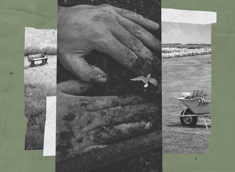 On top of a green background, there are three black and white pictures, layered on top of one another like a collage. The picture in the centre depicts two hands, pushing some soil together around a tiny plant. The image on the left contains grass and a park bench. The image on the right contains a wheelbarrow in a field.