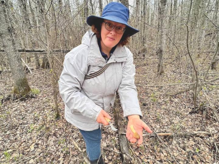 A white woman with curly brown hair stands in a forest with her hand outstretched. In her left hand is a brown mushroom. In her right hand is a small knife. She is wearing a navy bucket hat, light grey jacket, blue jeans and black boots. The background is a forest with trees and the ground is full of dead leaves and logs.