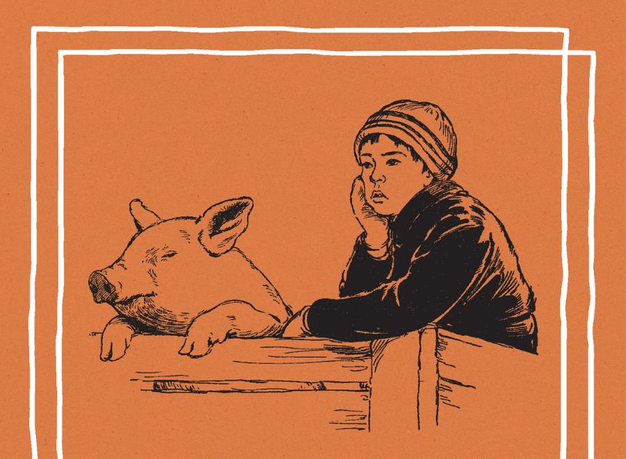 Cropped image of part of a book cover. There is an illustration of a little boy in a black coat next to a pig and they are leaning on the fence.