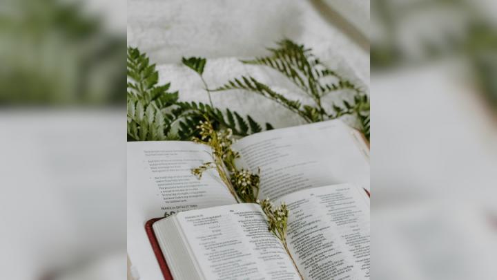 An open bible sits on top of another bible and there are dried flowers in the middle