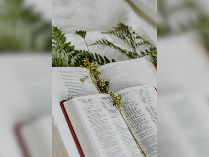 An open bible sits on top of another bible and there are dried flowers in the middle