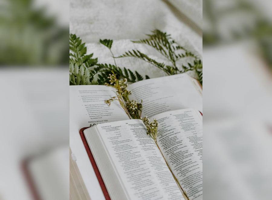 An open bible sits on top of another bible and there are dried flowers in the middle