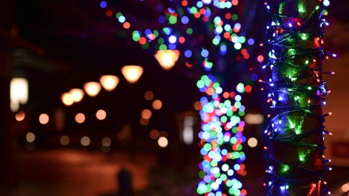 Twinkling lights on a tree in the evening