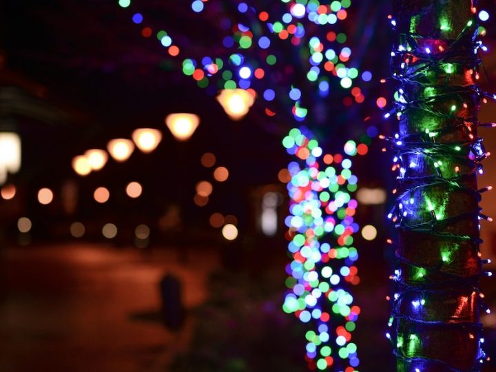 Twinkling lights on a tree in the evening