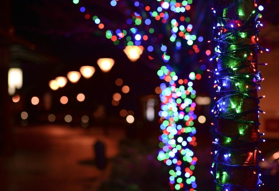 Twinkling lights on a tree in the evening