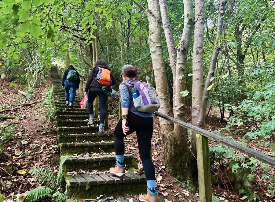 Hikers climbing a long, mossy stone staircase through a dense, green forest on St. Cuthbert’s Way.