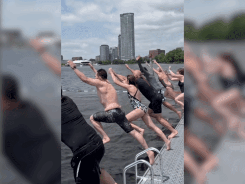 A group of white people jump off a dock into the water