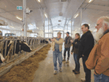 Four men and a woman stand in front of cows in a farm. There is feed on the ground and one man gestures to the cows