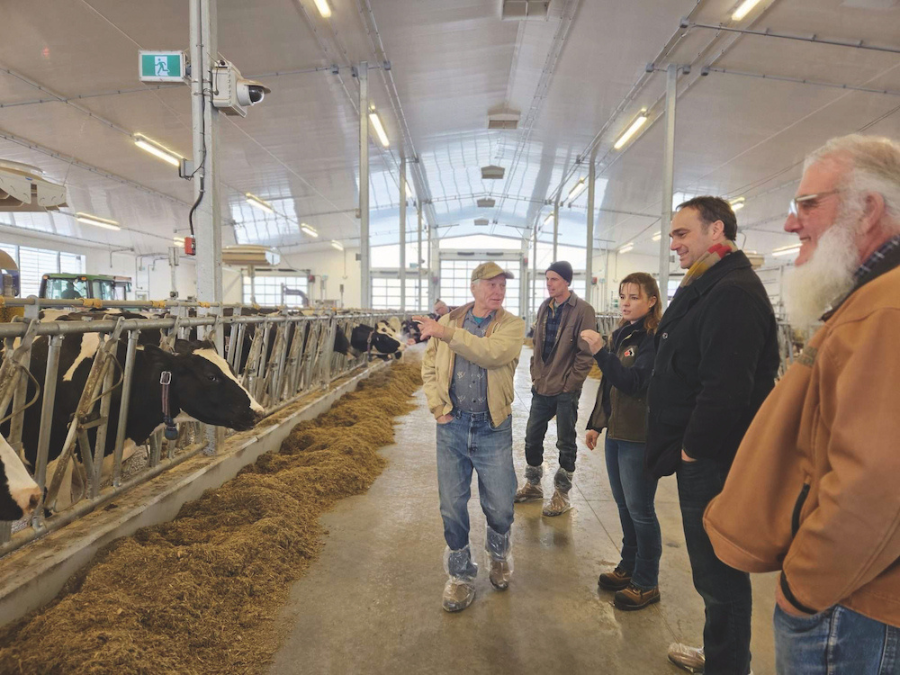 Four men and a woman stand in front of cows in a farm. There is feed on the ground and one man gestures to the cows